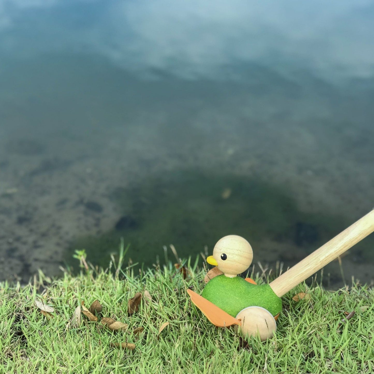 When pushed, duck makes a realistic flip-flop with its feet. Duck feet are made from natural rubber sheet and easy to clean up.