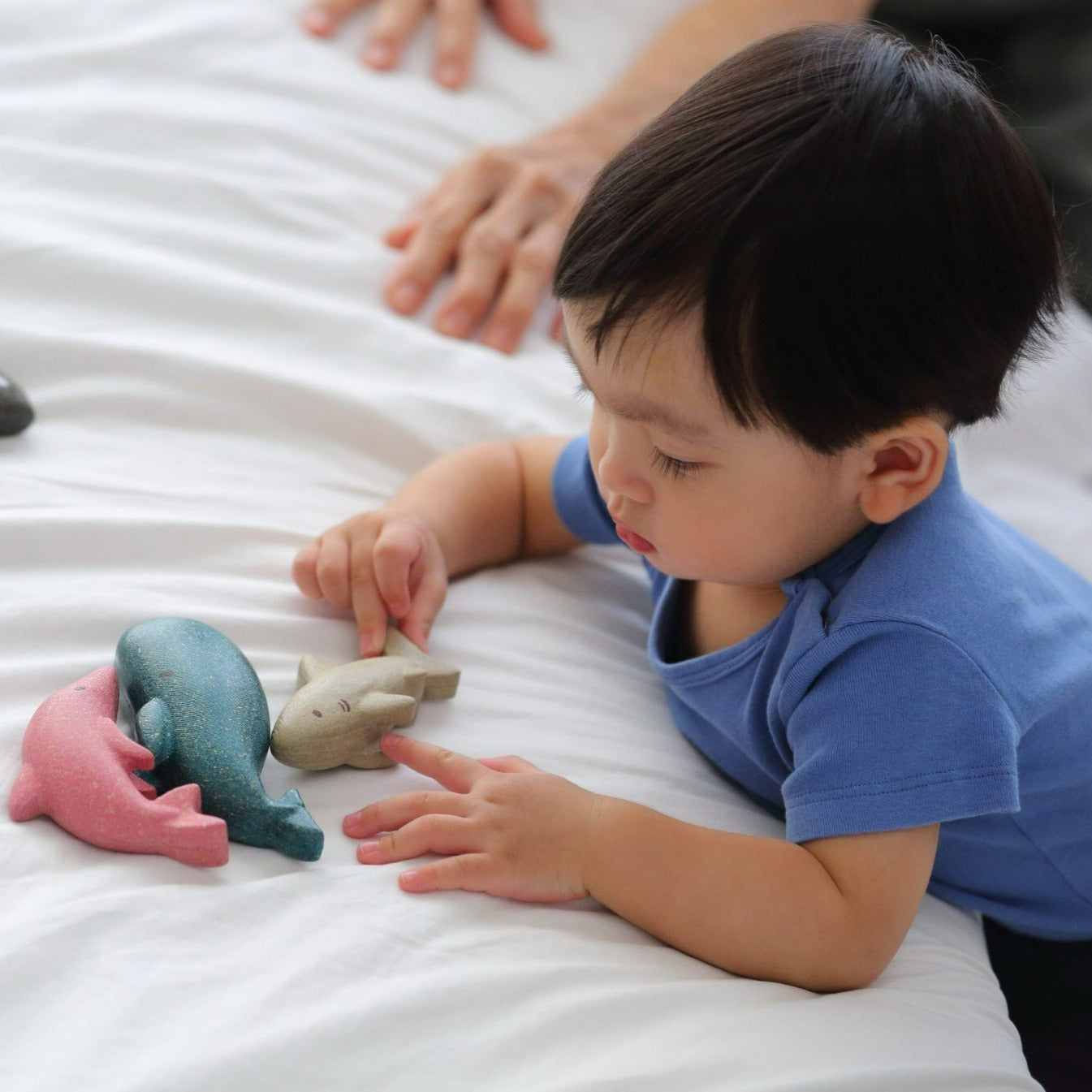 Sea Life Set by PlanToys