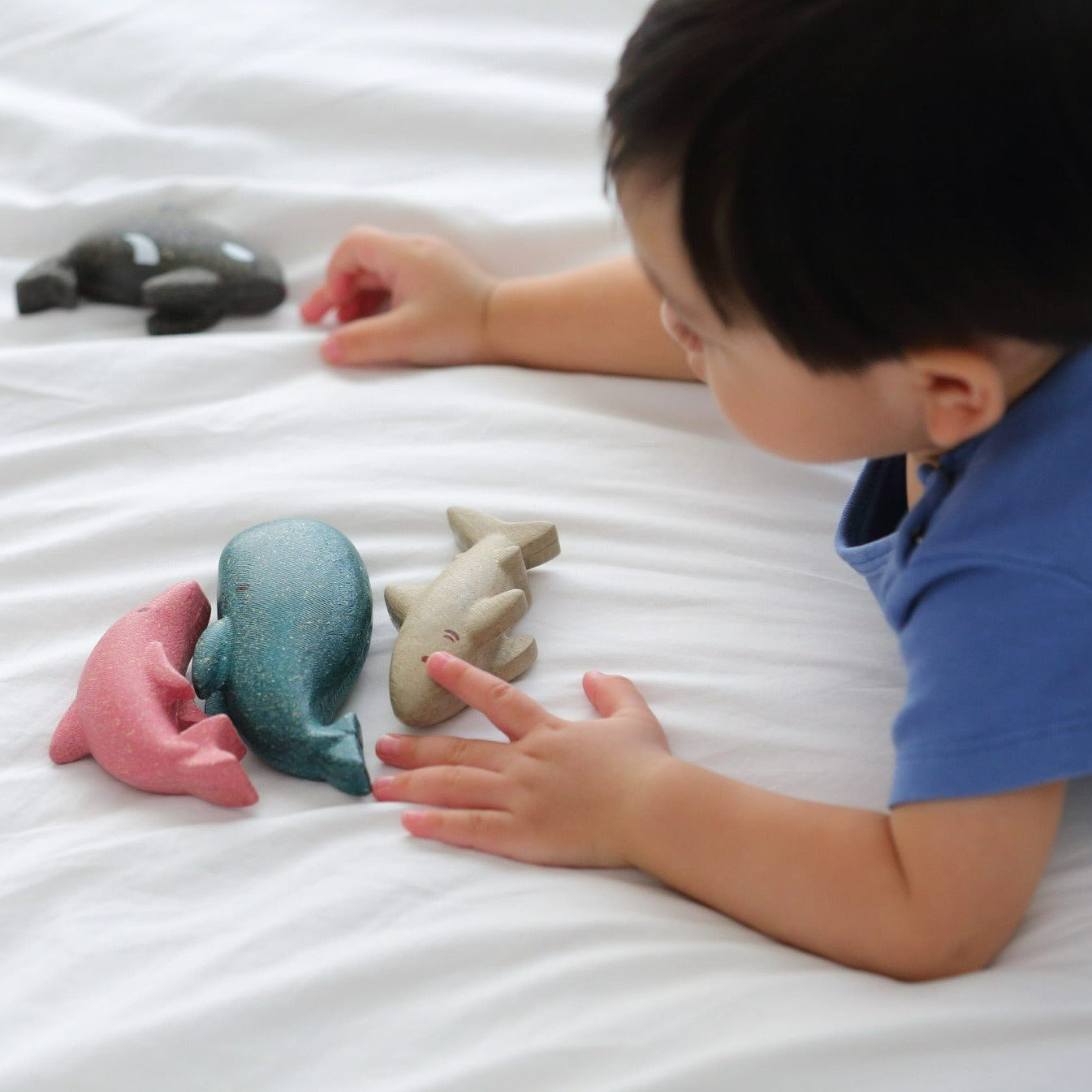 Sea Life Set by PlanToys