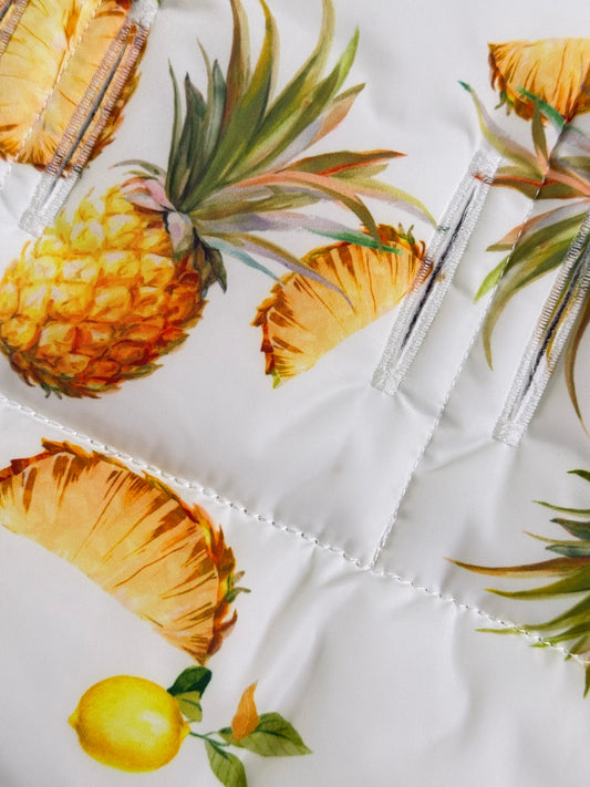 Stroller Liner Set in Pineapple Prints
