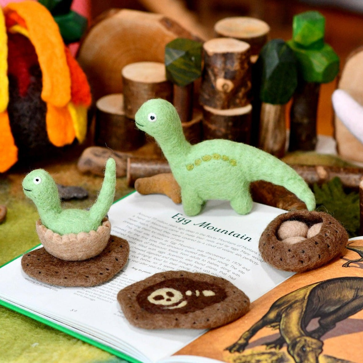 Life Stages of a Dinosaur Brontosaurus