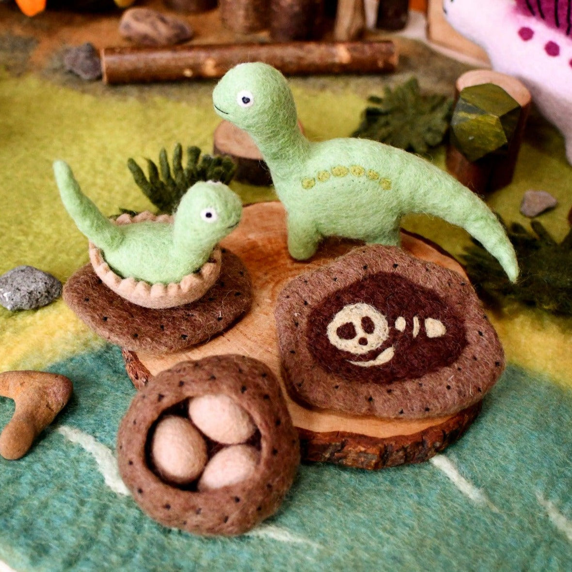 Life Stages of a Dinosaur Brontosaurus
