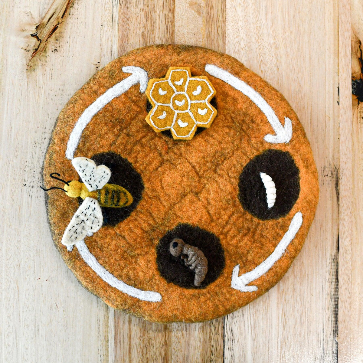 Lifecycle of a Honey Bee